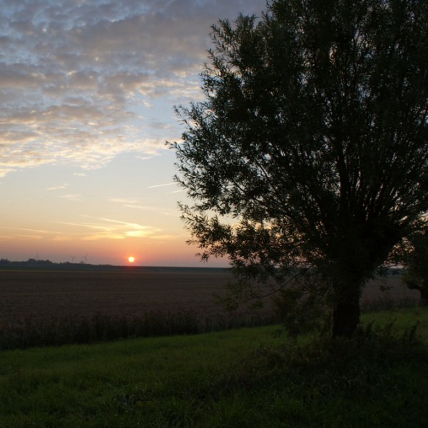 Natur