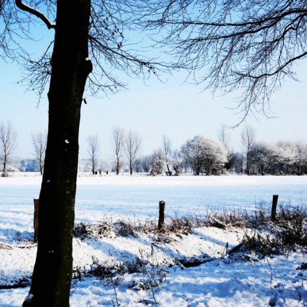 Natur