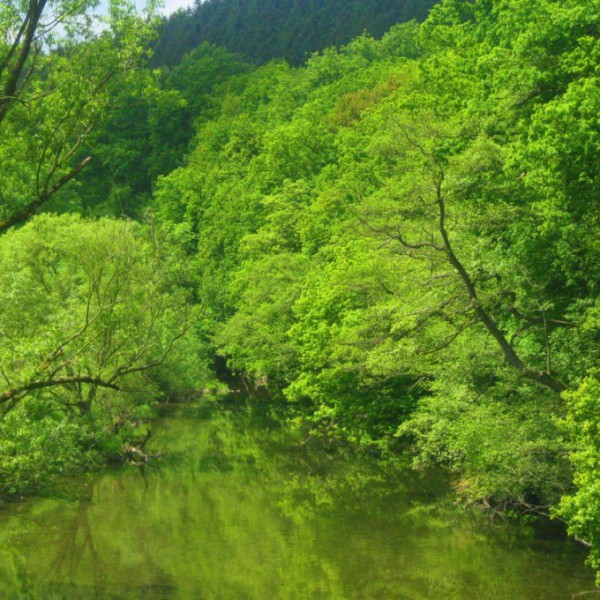 Natur