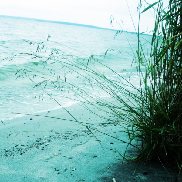 Natur