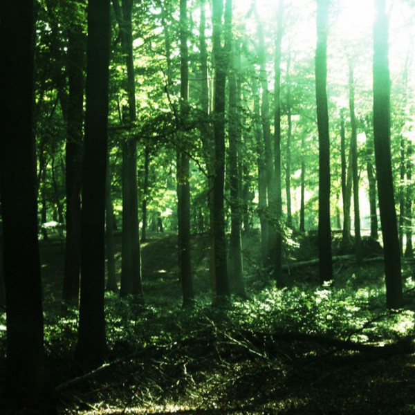 Natur