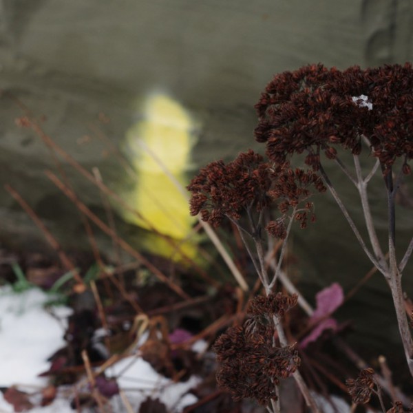 Natur