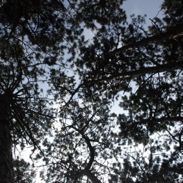 Natur